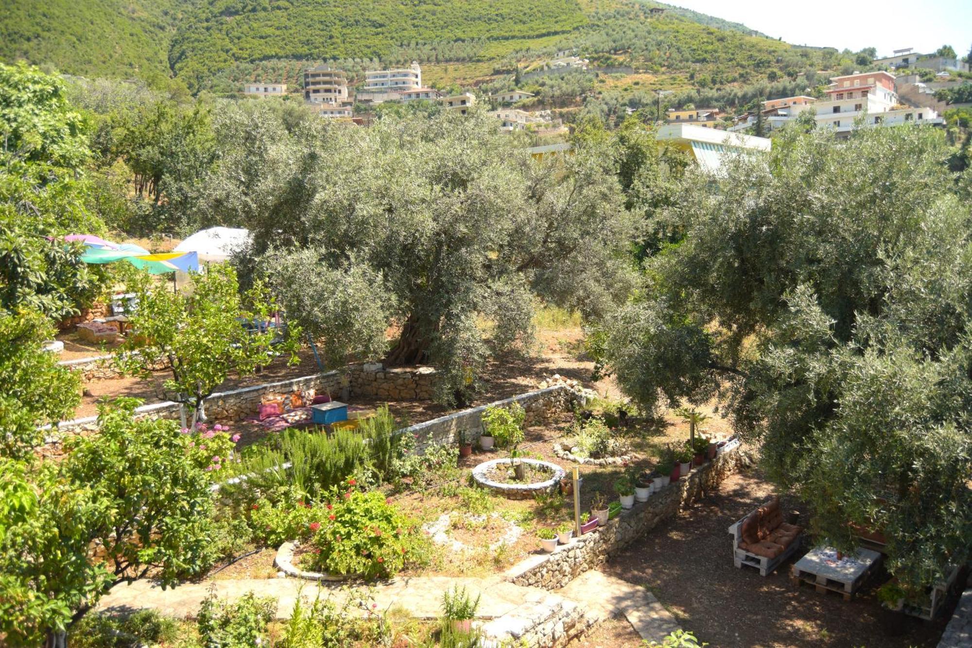 Vila Toskaj Vlorë Exteriér fotografie